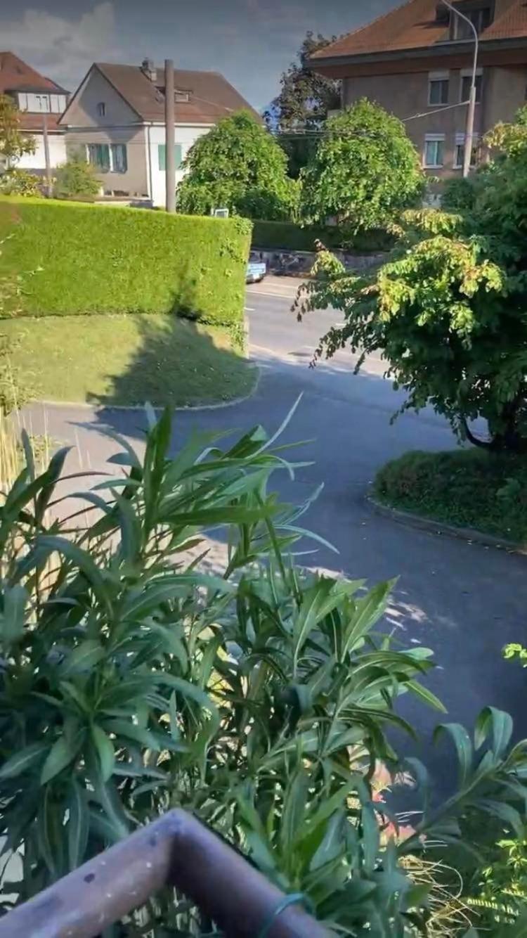 Apartment Lausanne Modern And Sunny *