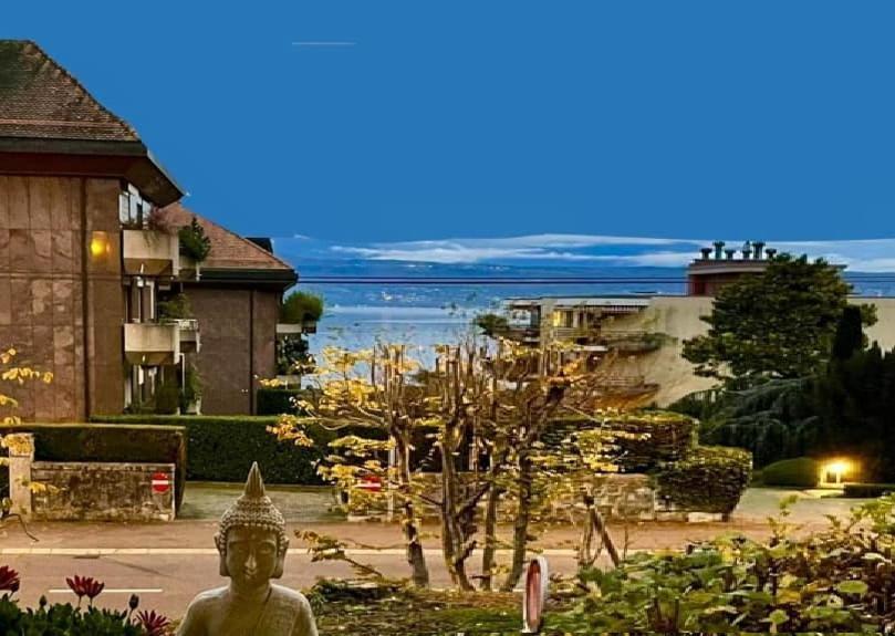 Lausanne Modern And Sunny *
